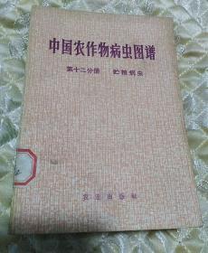 中国农作物病虫图谱    第十二分册   贮粮病虫