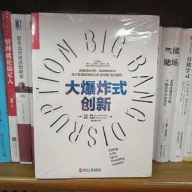 大爆炸式创新