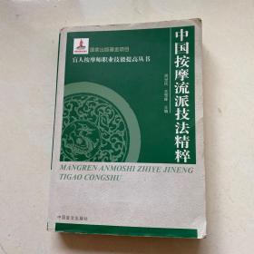 盲人按摩师职业技能提高丛书：中国按摩流派技法精萃（大字本）