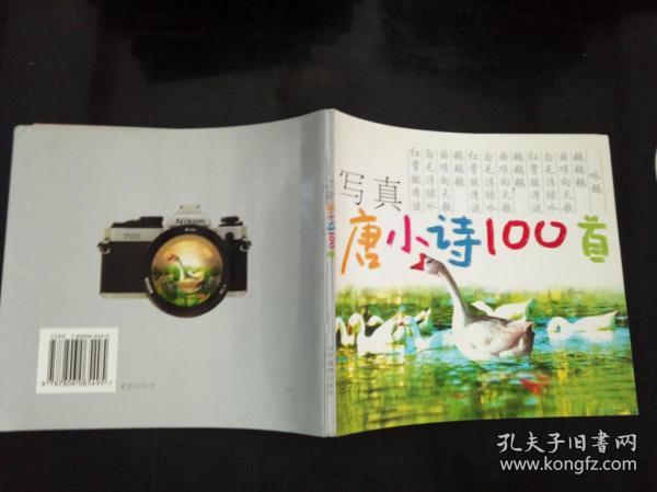 写真唐小诗100首