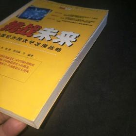 挑战未来：中国经济跨世纪发展战略