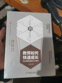 教师如何快速成长：专业发展必备的六大素养 大夏书系