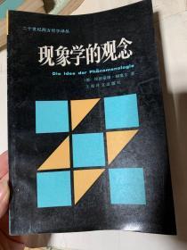 现象学的观念