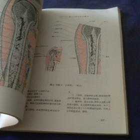 经穴断面解剖图解上肢部分，