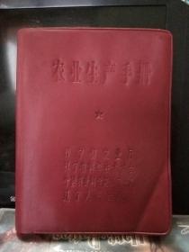 1966年辽宁省农业厅《农业生产手册》-农村人民公社生产队经营等