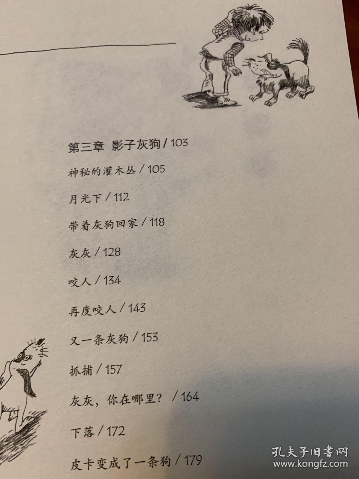 我的儿子皮卡6：影子灰狗