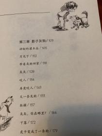 我的儿子皮卡6：影子灰狗