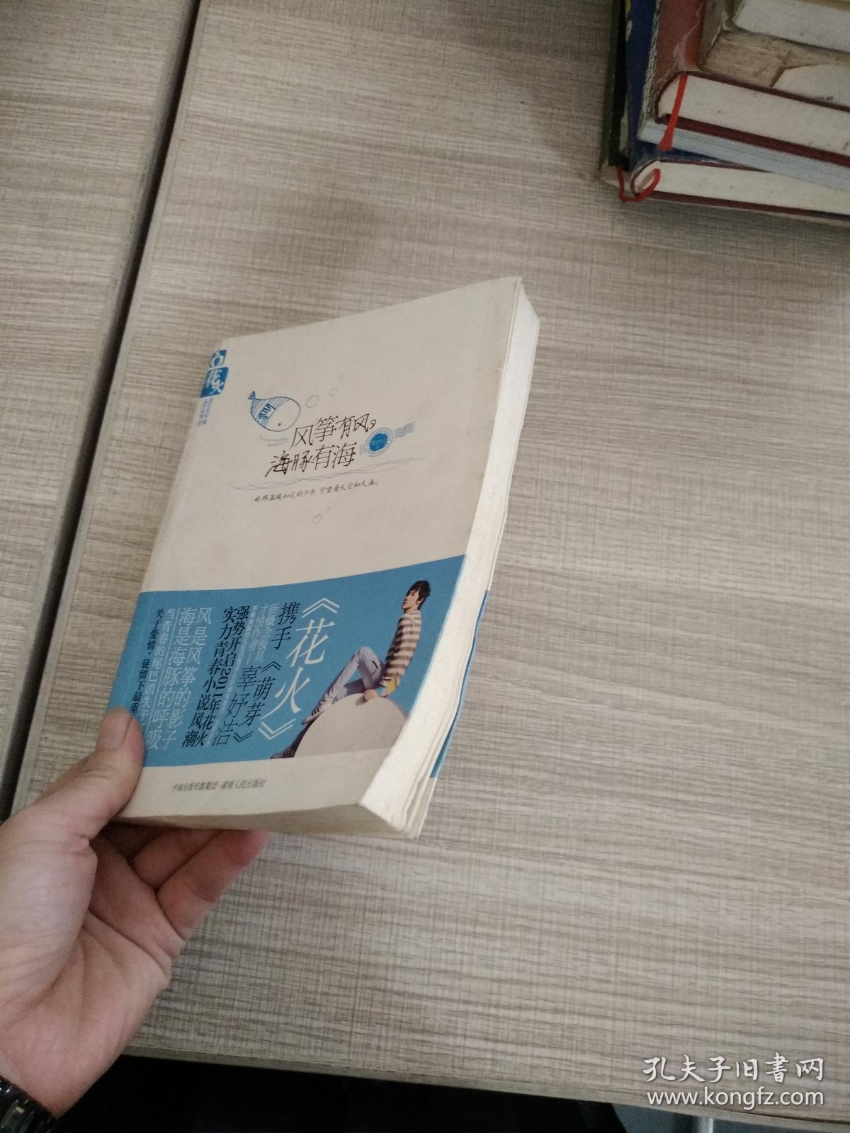 风筝有风，海豚有海