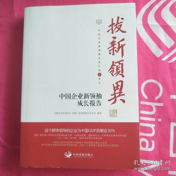 拔新领异 中国企业新领袖成长报告