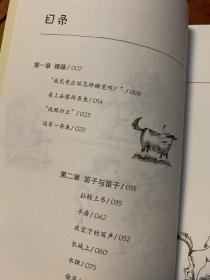 我的儿子皮卡6：影子灰狗