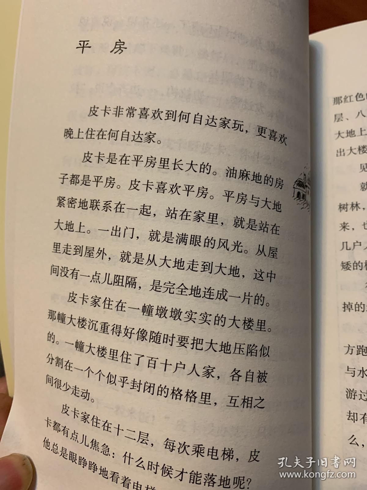 我的儿子皮卡6：影子灰狗