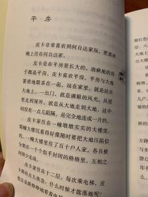 我的儿子皮卡6：影子灰狗