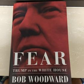 Fear
Trump in the white house