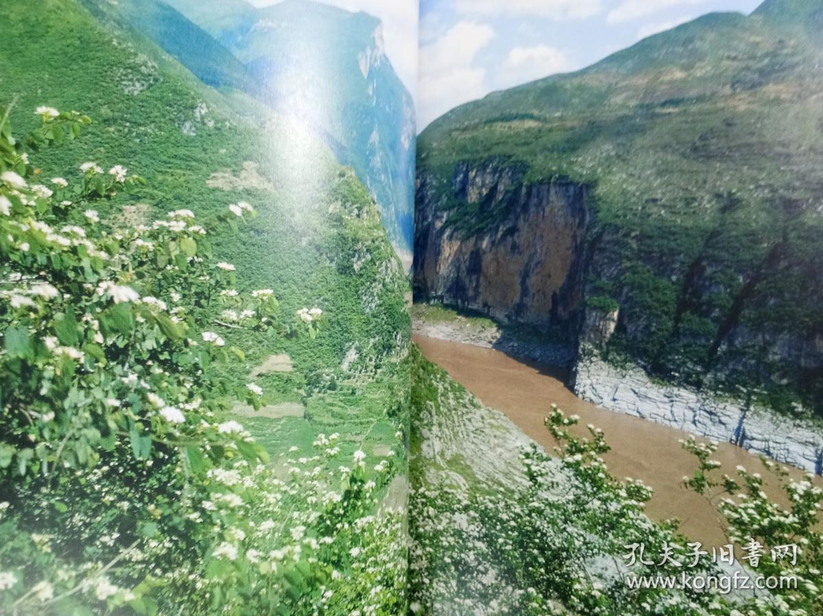 三峡库区谷地的植物与植被、‘