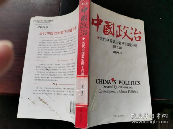 中国政治:当代中国政治若干问题分析