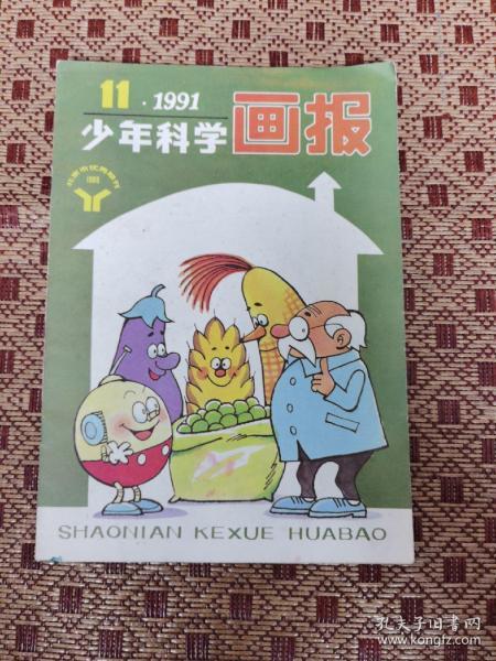 少年科学画报1991-11