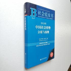 社会蓝皮书：2019年中国社会形势分析与预测.