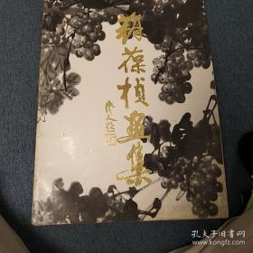 苏葆桢、画集、画册、画选