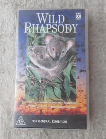 录像带： Wild Rhapsody