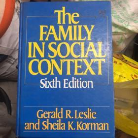 the family in social context 精装