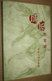 成长的足迹 朱可人作文选编