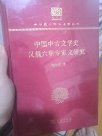 中国中古文学史 汉魏六朝专家文研究