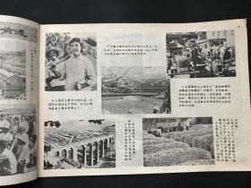 1972-1976年【工农兵画报】11本合售，1972年第8，9,14,15-16,18,21,23,24期，1975年第18期，1976年19-20期毛主席逝世纪念专刊等