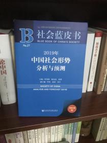 社会蓝皮书：2019年中国社会形势分析与预测