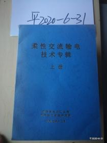 柔性交流输电技术专辑上下册 全