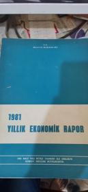 1981 YILLIK EKONOMiK RAPOR