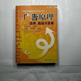 广告原理：选择、挑战与变革