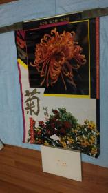 挂历1992年菊之魅 屺瞻 上海人民美术出版社 74*50CM
