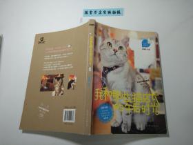 我和那些貓店長的午后時光