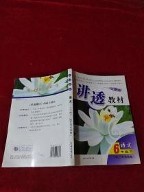 讲透教材 语文 六年级下 无赠品