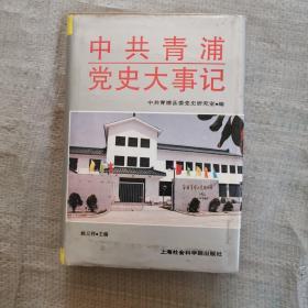 中共青浦党史大事记【1919.5-1990.12】 精装…..