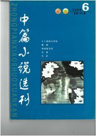 中篇小说选刊2008.6