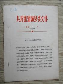 1978年共青团鄂城县委：1978年共青团工作的意见