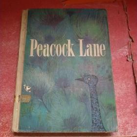 PEACOCK LANE【孔雀巷】