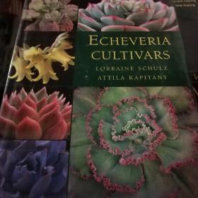 ECHEVERIA CULTIVARS LORRAINE SCHULZ ATTILA KAPITANY*