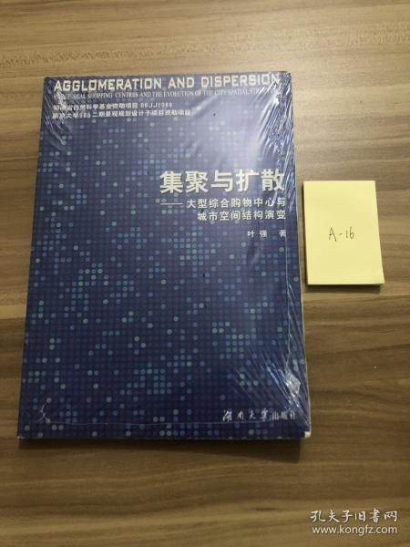 集聚与扩散-大型综合购物中心与城市空间结构演变