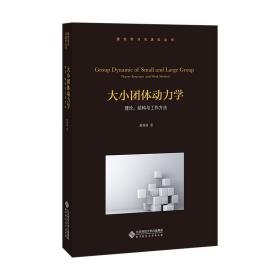 大小团体动力学：理论、结构与工作方法