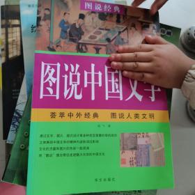 图说中国文学