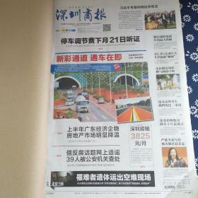 深圳商报 2014年7月（21-31日）