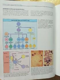 Chinical Haematology