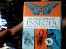 THE STRANGE WORLD OF INSECTS