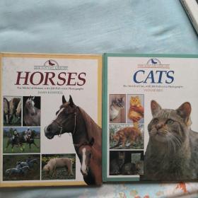 猫影册马影册 英文原版The word of cats/horses，with 200 full-color photographs
james kerswell
yvonne rees