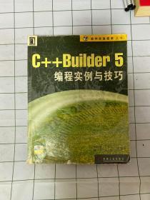 C++Builder 5 编程实例与技巧