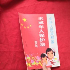 中华人民共和国未成年人保护法图例