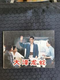 大泽龙蛇