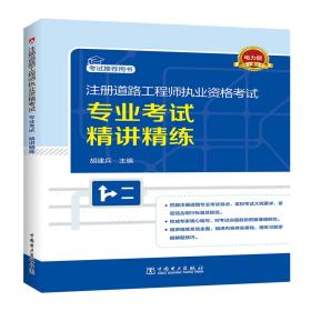 注册道路工程师执业资格考试专业考试精讲精练